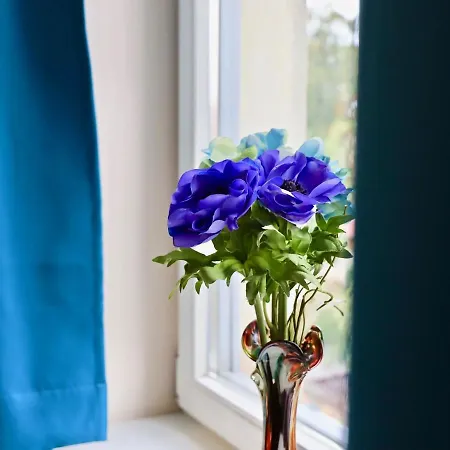 Appartamento Residenz Am Dresdner Stadtwald