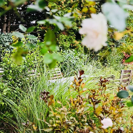 Appartamento Residenz Am Dresdner Stadtwald *