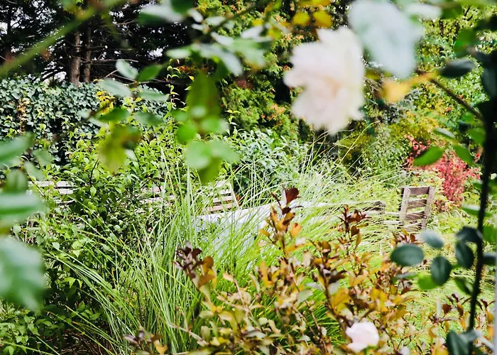 公寓 Residenz Am Dresdner Stadtwald *